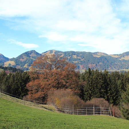Herbst 2015 (7)